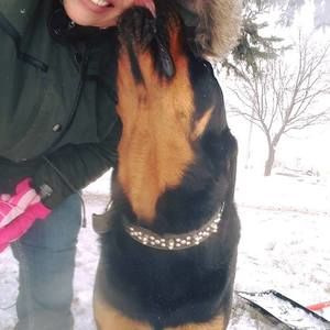 Meet your Posher, Lisa